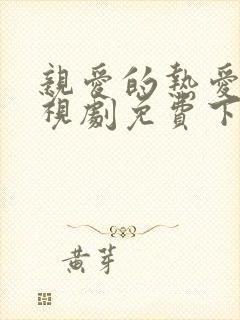 亲爱的热爱的电视剧免费下载观看封面