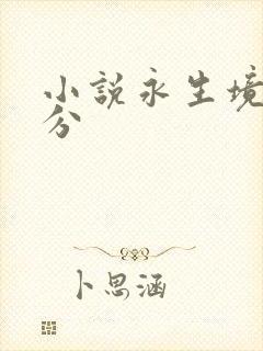 小说永生境界划分