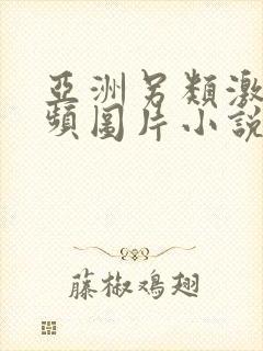 亚洲另类激情视频图片小说封面