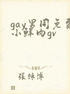 gay男同免费小鲜肉gv