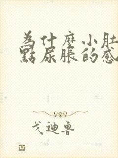 为什么小肚子有点尿胀的感觉封面