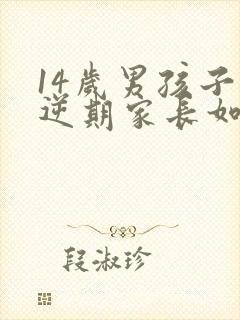 14岁男孩子叛逆期家长如何管教