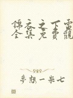 锦衣之下电视剧全集免费观看高清