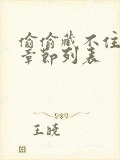 偷偷藏不住最新章节列表