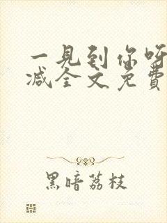 一见到你呀无删减全文免费阅读封面