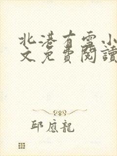 北港有雪小说全文免费阅读封面