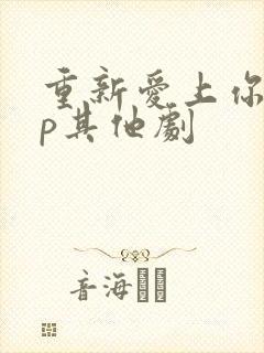 重新爱上你副cp其他剧