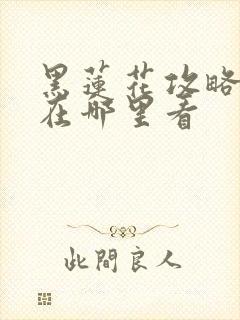 黑莲花攻略手册在哪里看封面