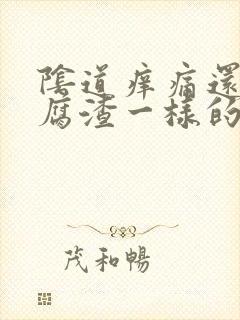 阴道痒痛还有豆腐渣一样的东西