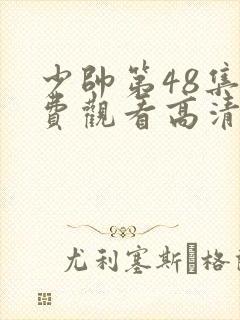 少帅第48集免费观看高清