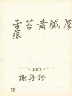 舌苔黄腻厚有齿痕