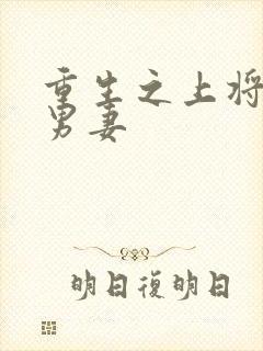 重生之上将霸宠男妻