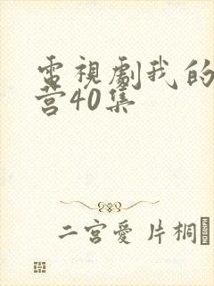 电视剧我的特一营40集