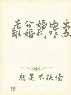 老公婚内出轨提离婚我咋办