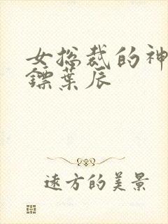 女总裁的神级保镖叶辰