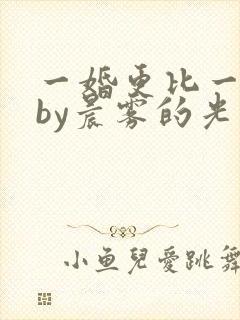 一婚更比一婚高by晨雾的光的小说封面