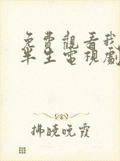 免费观看我的后半生电视剧全集