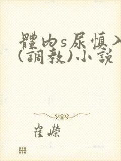 体内s尿慎入h(调教)小说