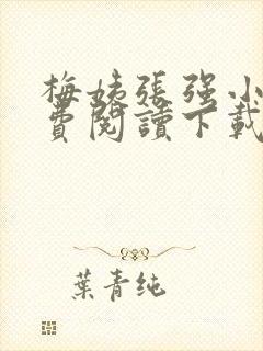 梅姨张强小说免费阅读下载