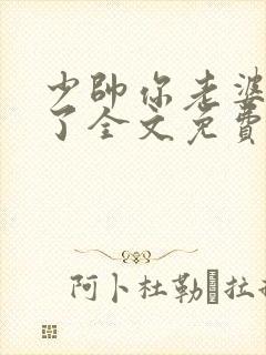 少帅你老婆又跑了全文免费下载封面