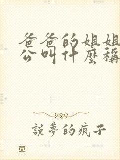 爸爸的姐姐的老公叫什么称呼