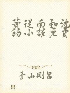 萧从南和沈梦清的小说免费阅读