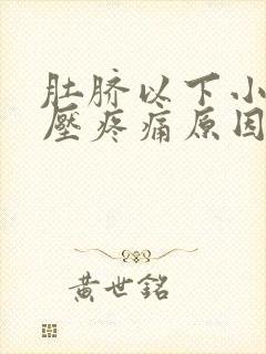 肚脐以下小腹按压疼痛原因