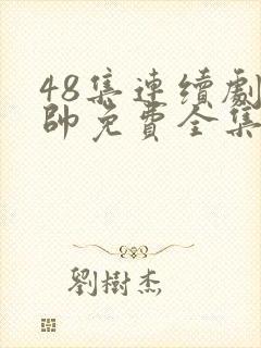 48集连续剧少帅免费全集观看