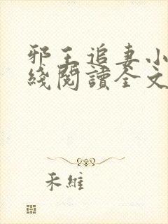 邪王追妻小说在线阅读全文