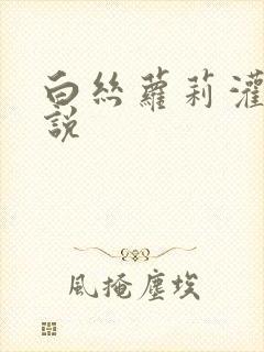 白丝萝莉灌肠小说封面