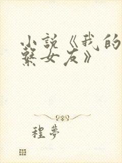 小说《我的养成系女友》