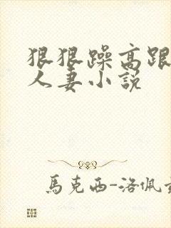 狠狠躁高跟丝袜人妻小说封面