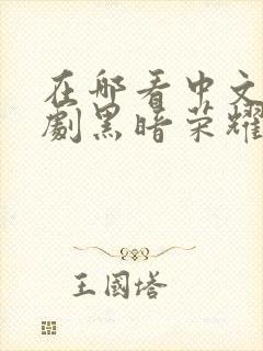 在哪看中文版韩剧黑暗荣耀第二季