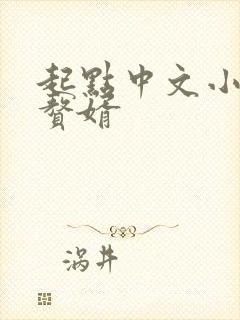 起点中文小说网赘婿