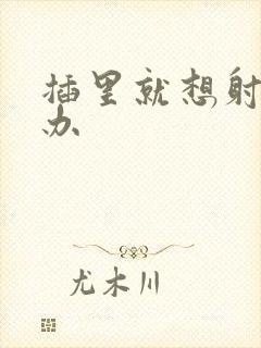 插里就想射怎么办封面