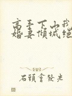 高手下山我的未婚妻倾城绝艳