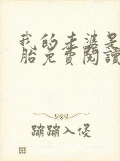 我的老婆是双胞胎免费阅读