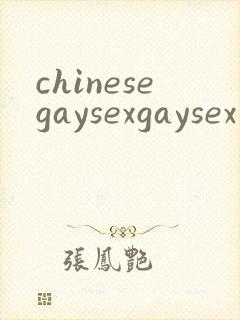 chinesegaysexgaysex封面