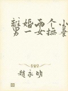 离婚两个小孩一男一女抚养权怎么判定