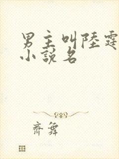 男主叫陆霆骁的小说名封面