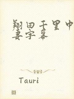 翔田千里中文人妻字幕