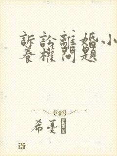 诉讼离婚小孩抚养权问题