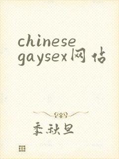 chinesegaysex网站