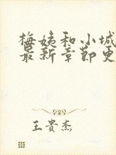 梅姨和小城小说最新章节更新时间