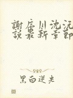 谢序川沈沅珠小说最新章节免费阅读封面