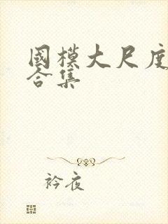 国模大尺度私拍合集