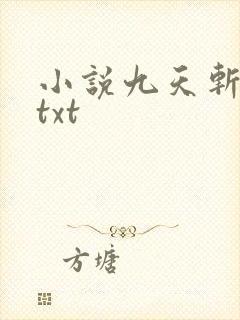 小说九天斩神诀txt