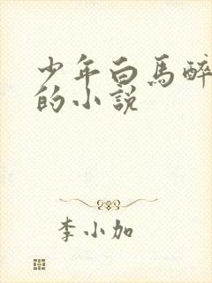 少年白马醉春风的小说