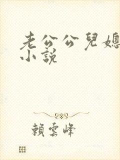 老公公儿媳妇的小说