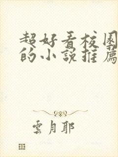 超好看校园言情的小说推荐